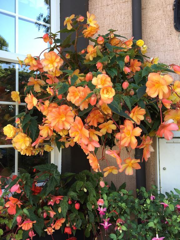 וויטלי ביי Park Lodge Guest House מראה חיצוני תמונה